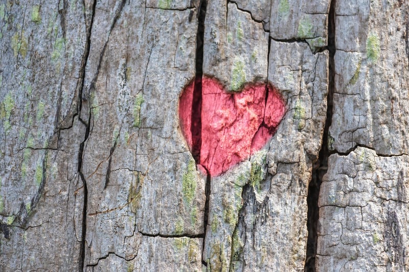 Wishing Tree